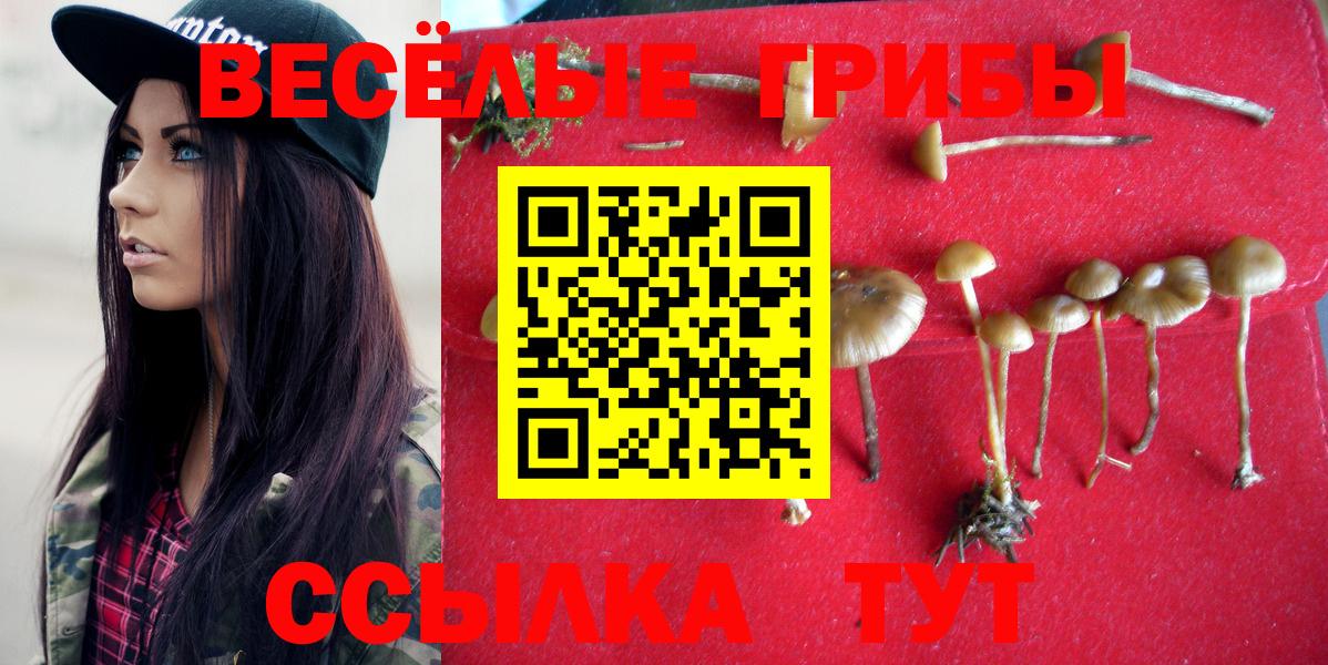 Псилоцибиновые грибы Psilocybe Костомукша