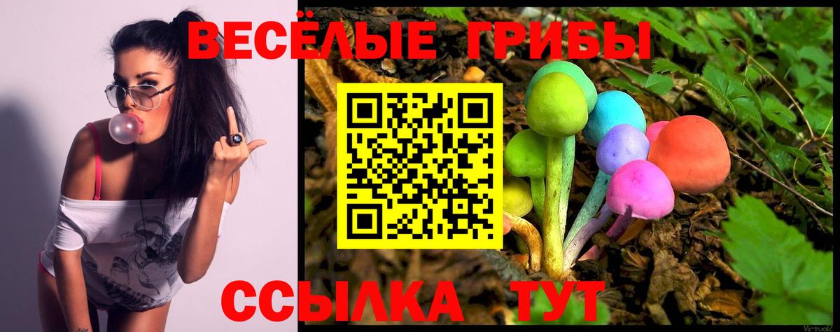 ГАШ  Вход с VPN  Костомукша  Канабис  МЕФ кристаллы  Купить наркотик  A-PVP СОЛЬ кристаллы 